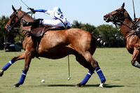 Valiente 9 SD Farms 10 The Sterling Cup