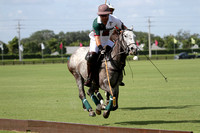 The Just For Fun Cup Grand Champions Palm Beach Equine /Audi